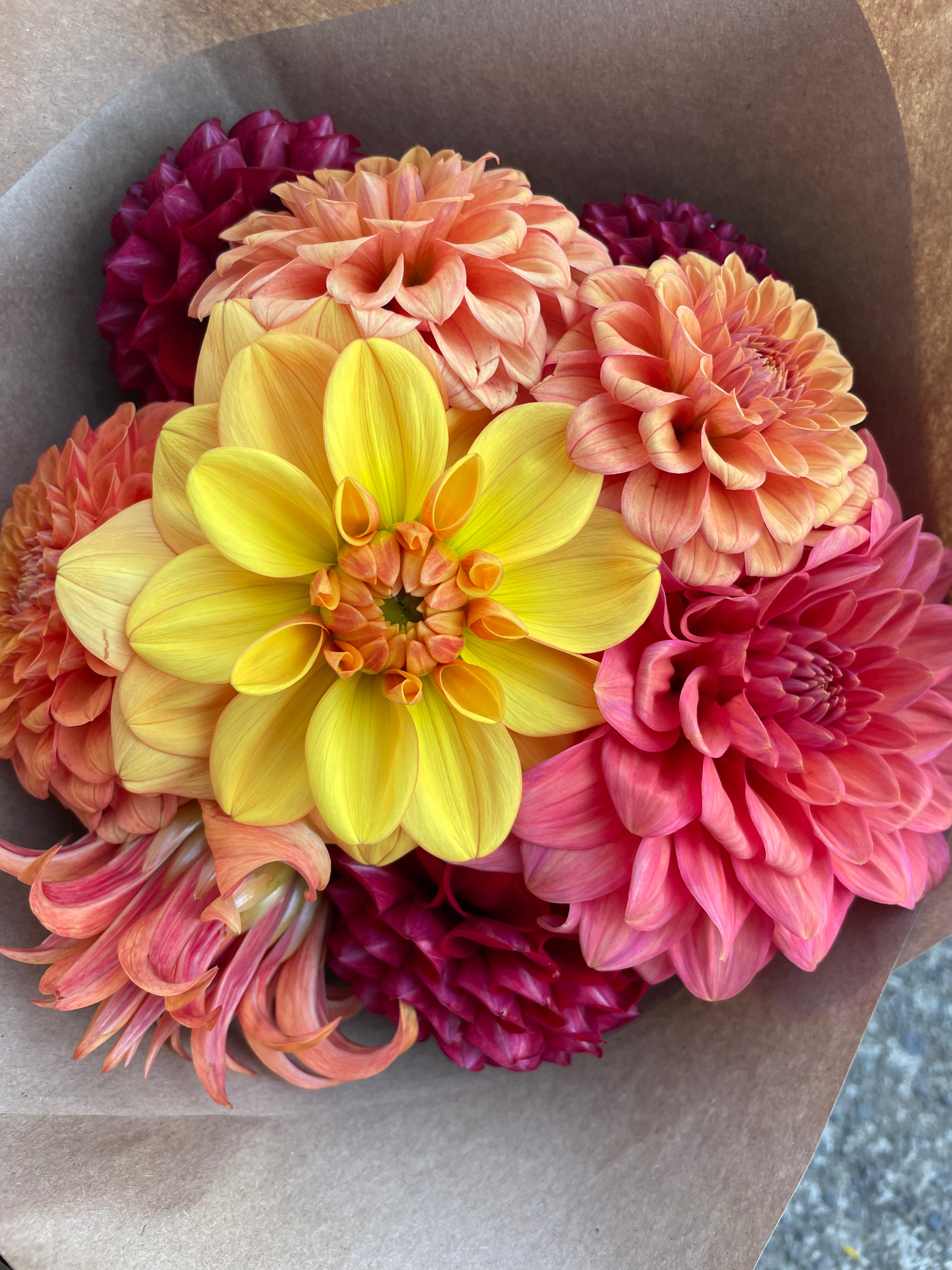 Dahlia Bouquets