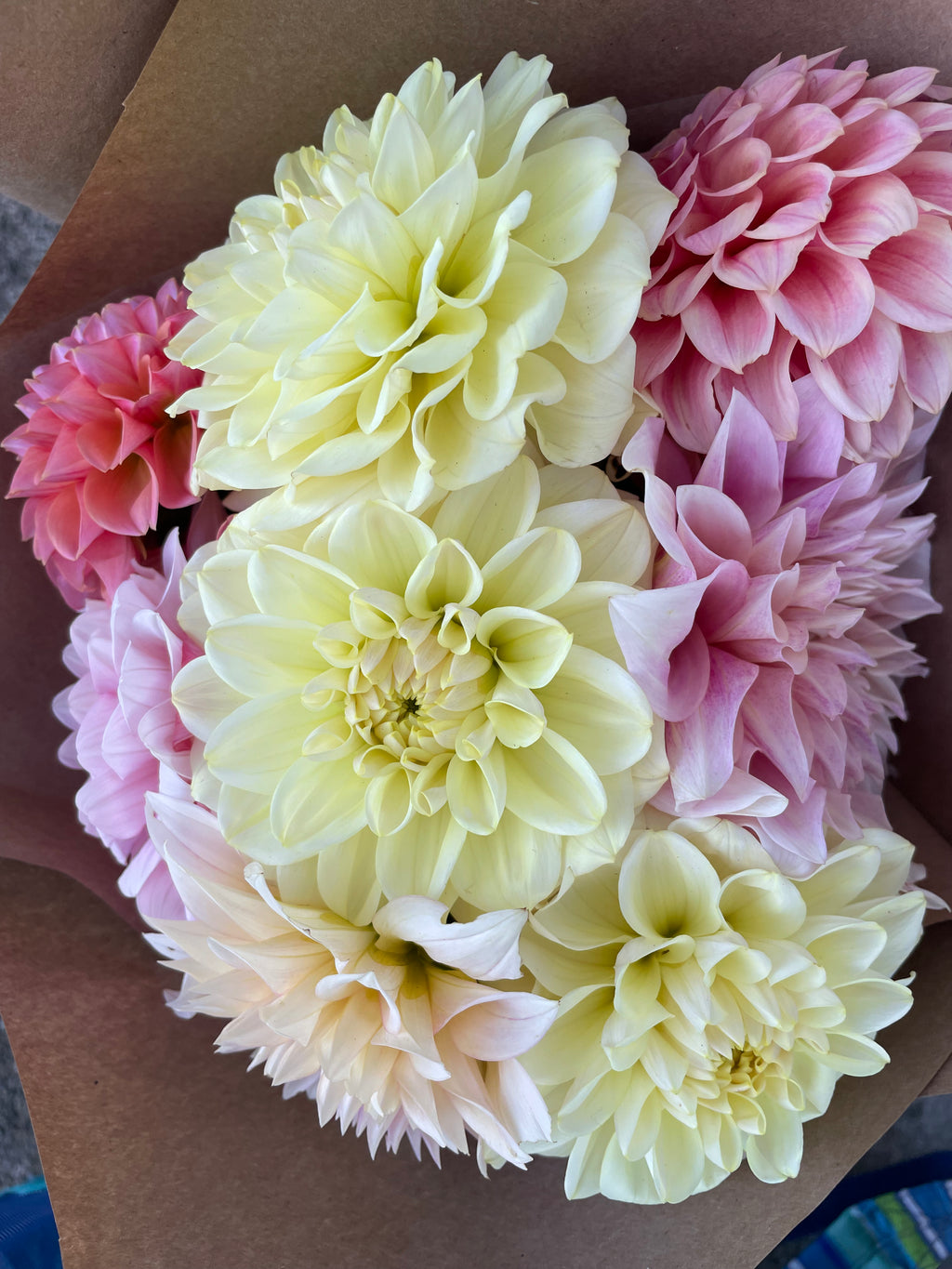 Dahlia Bouquets