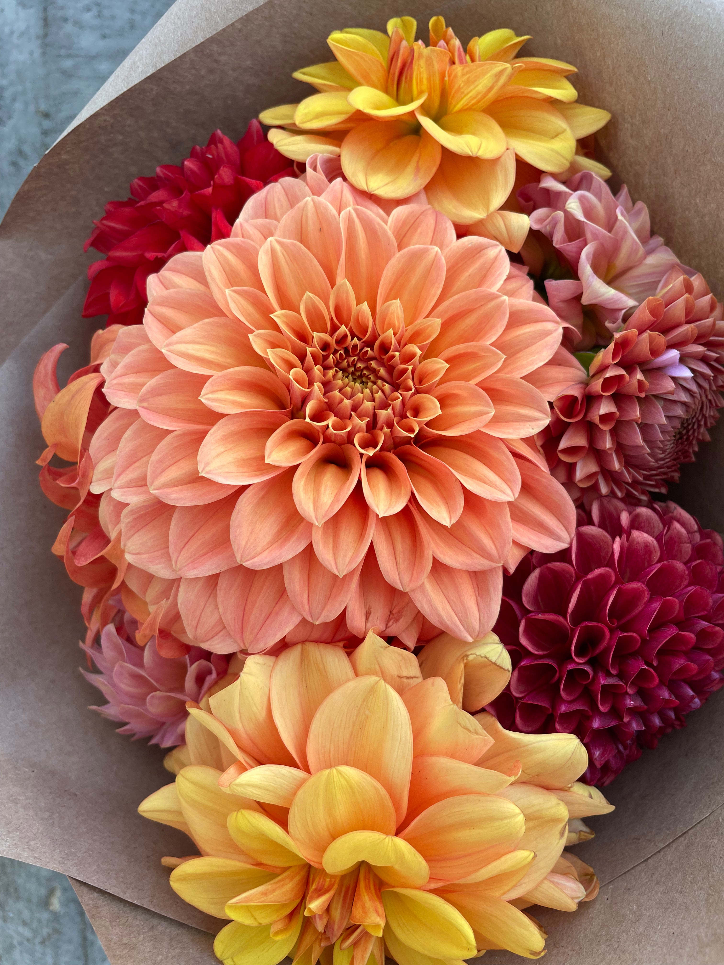 Dahlia Bouquets